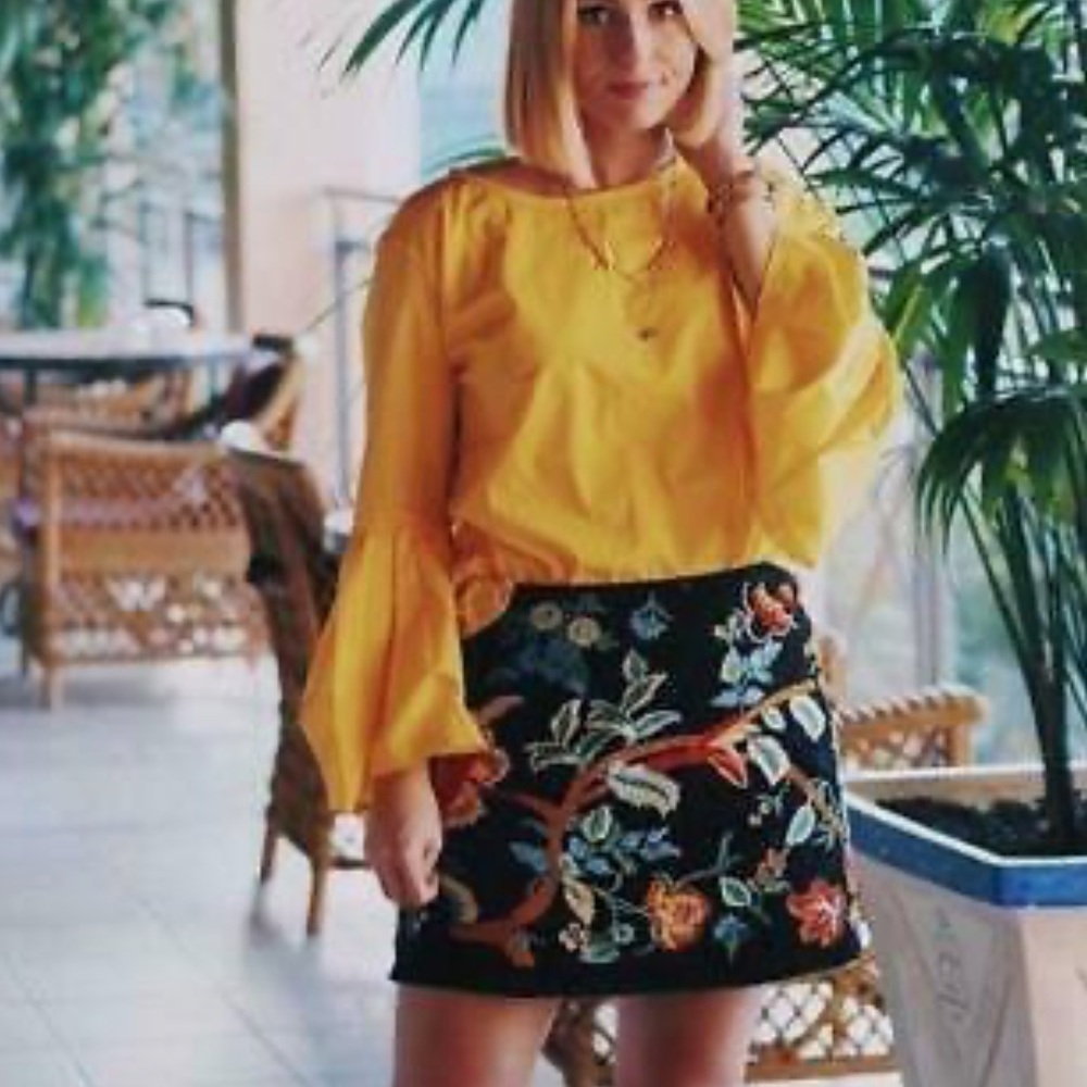 Zara Woman Embroidered Floral Mini Skirt Small GORGEOUS!